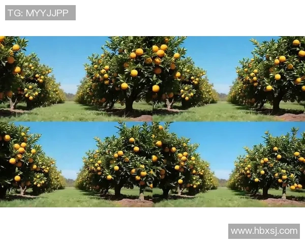 果园中的四季变换：探索不同季节下果树的生长与丰收之道